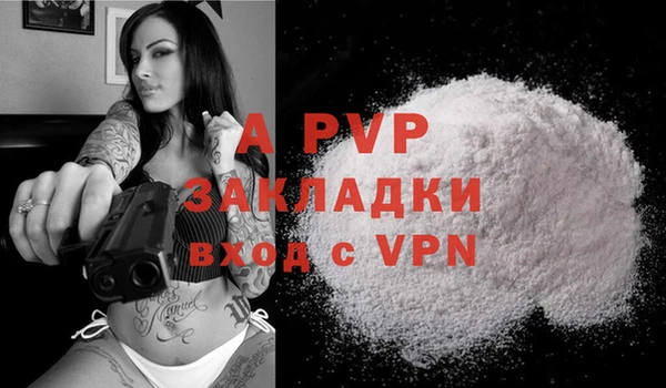 ECSTASY Покров