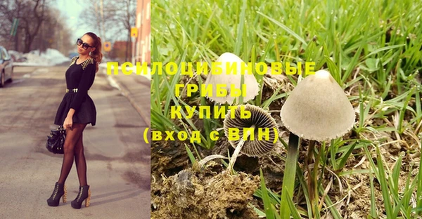 ECSTASY Покров