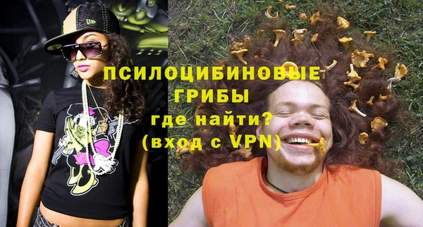 ECSTASY Покров