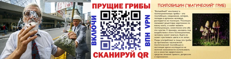 ОМГ ОМГ   Сортавала  Псилоцибиновые грибы мухоморы 